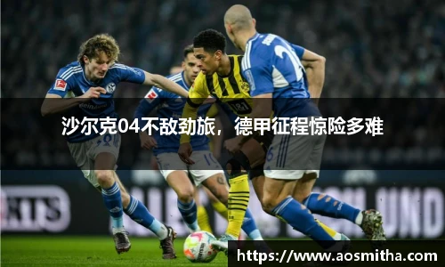 BB视讯官网