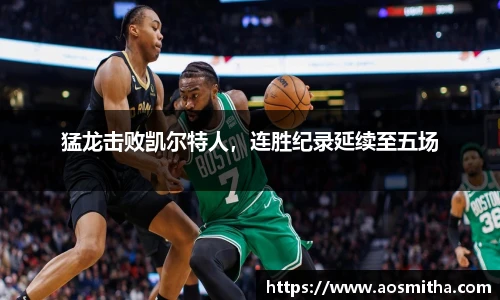 BB视讯官网