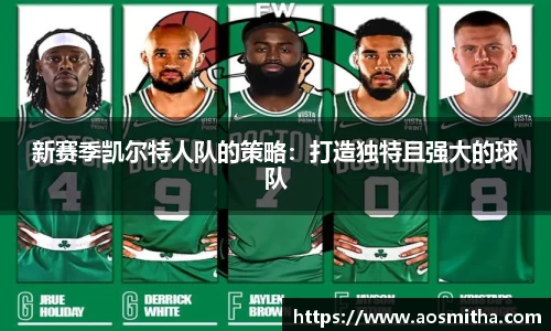 BB视讯
