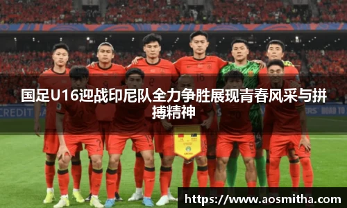 BB视讯官网